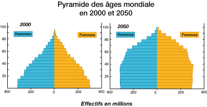 pyramide des âges 2000 - 2050