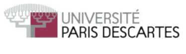 Descartes-université