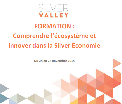 Silver Valley Formation Silver économie