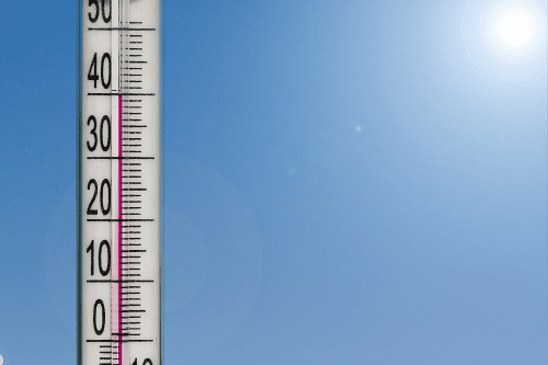 Canicule, prévention, forte chaleur