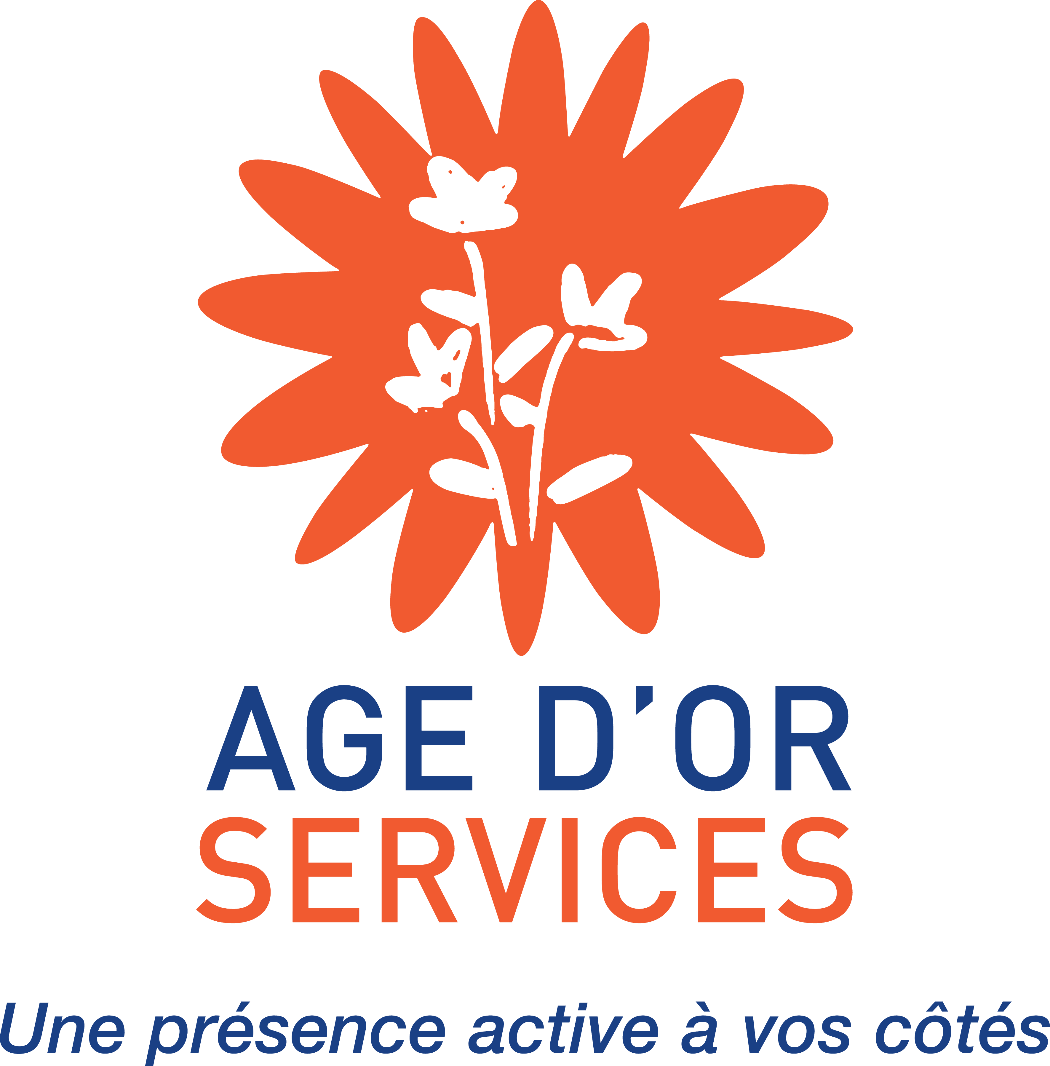 Age d'or services logo