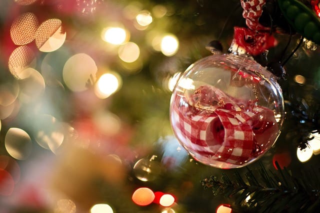 christmas-ornament-Noel