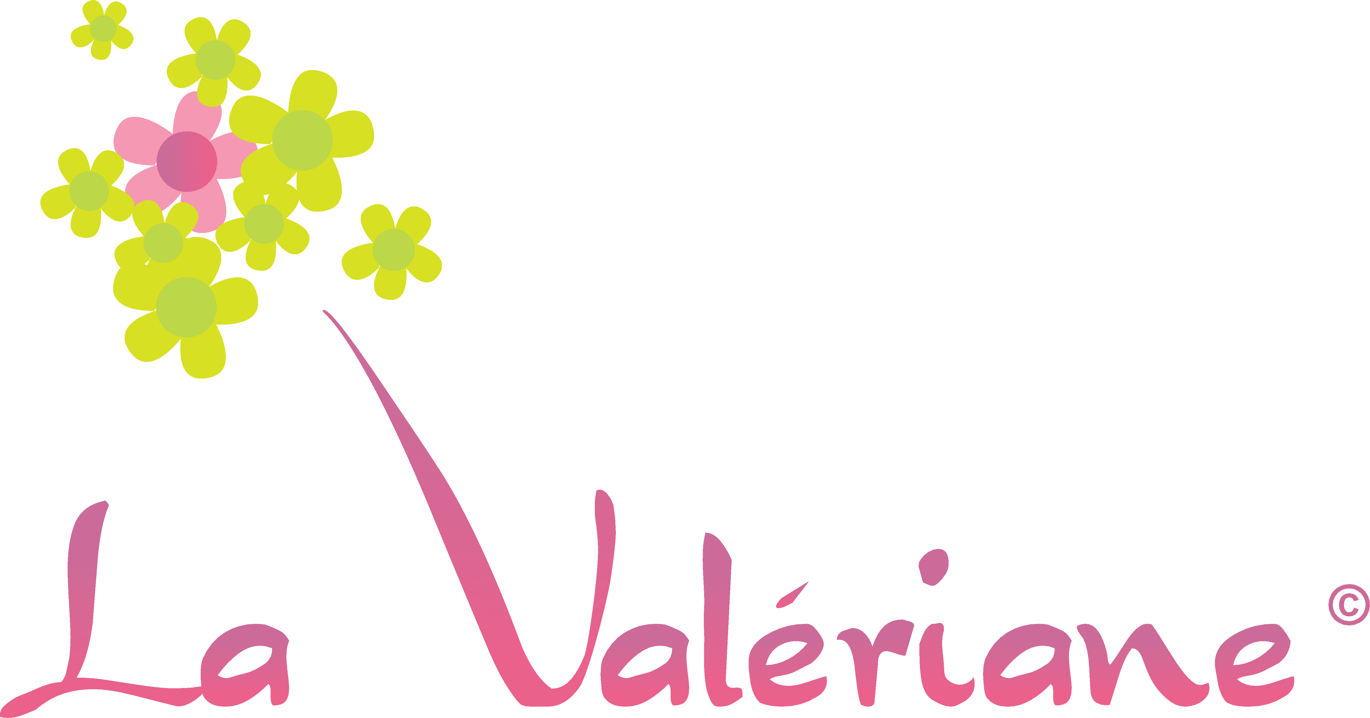 La Valériane Logo - Silver économie