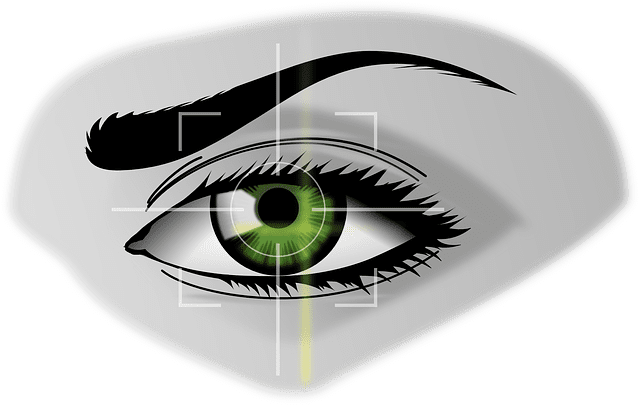 Oeil - oeil bionique - Silver économie