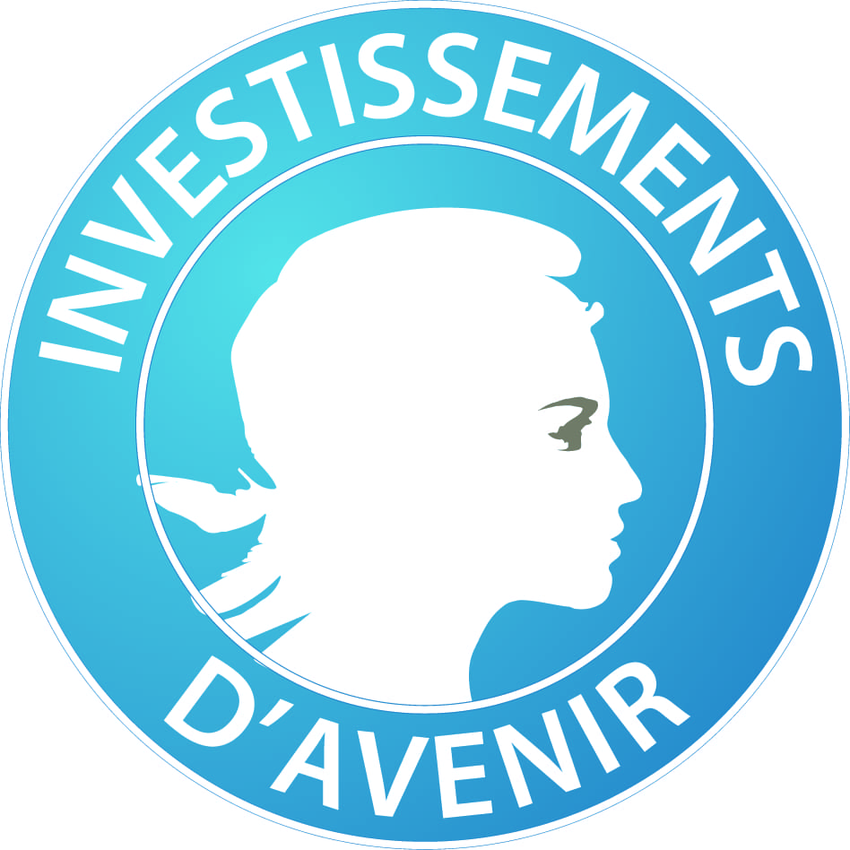 Logo Investissement d'avenir