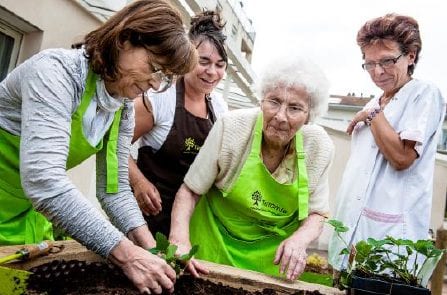 Jardinage et jardin thérapeutique