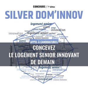 Silver Dom Innov 2017