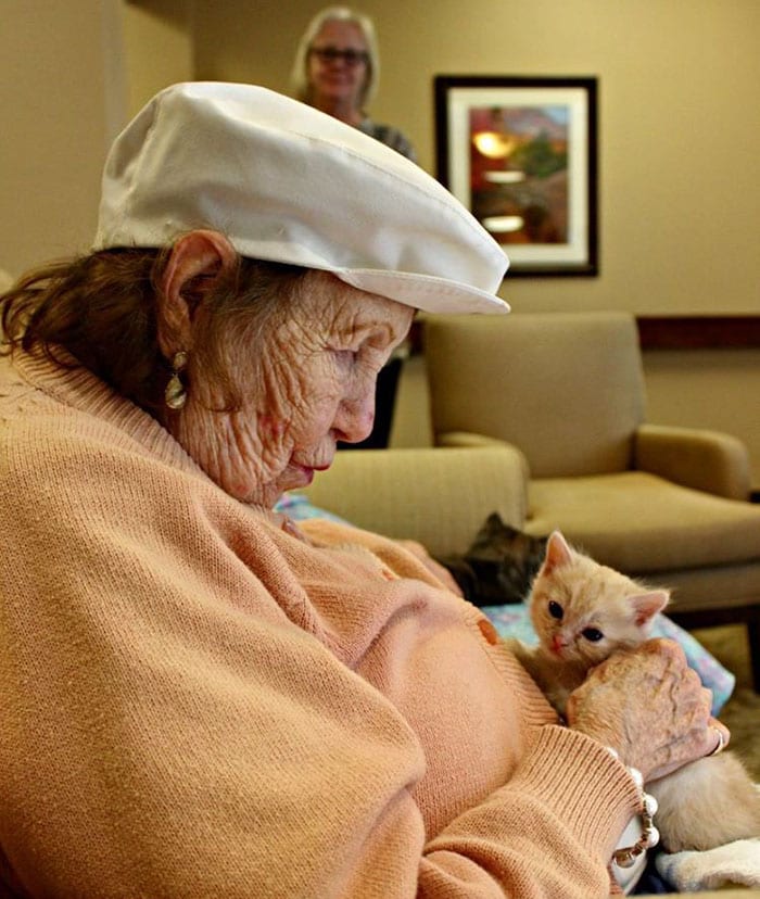 Une maison de retraite qui accueille des chatons