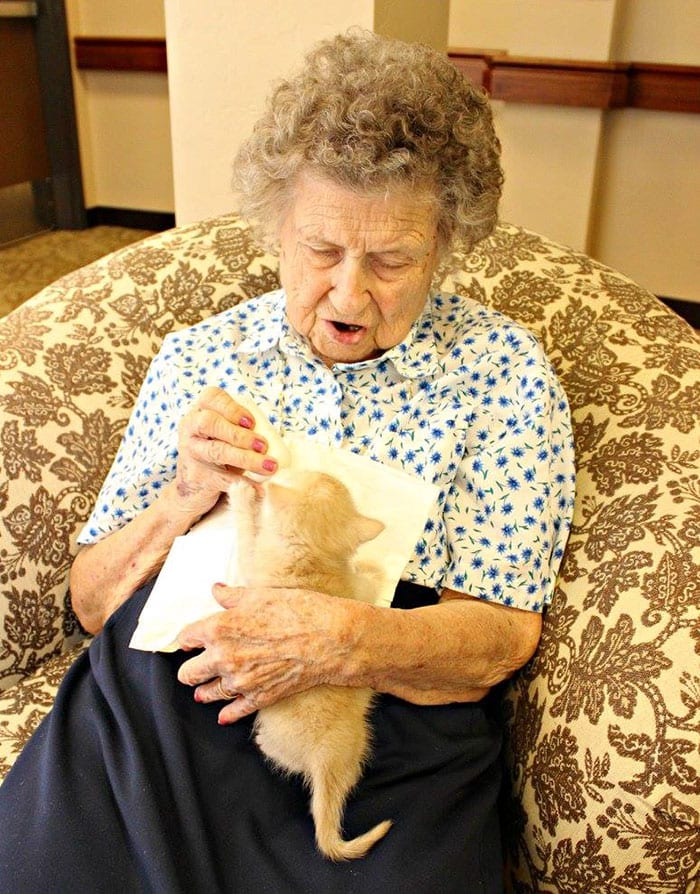 Une maison de retraite qui accueille des chatons