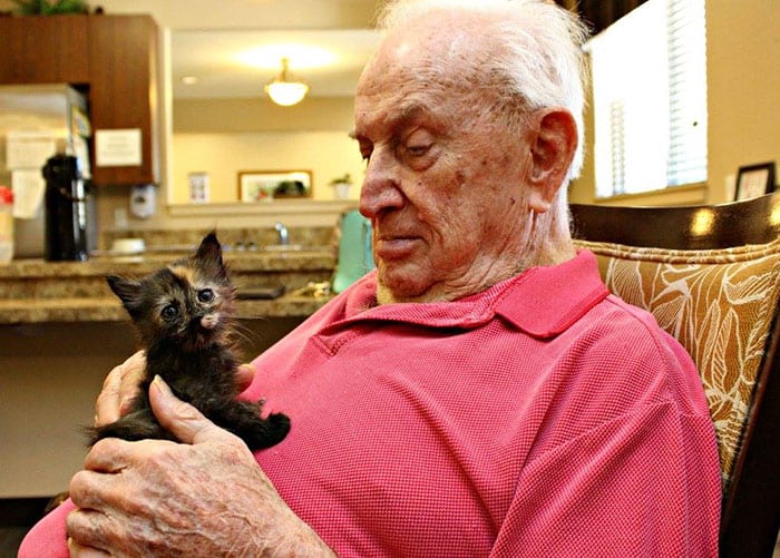 Une maison de retraite qui accueille des chatons