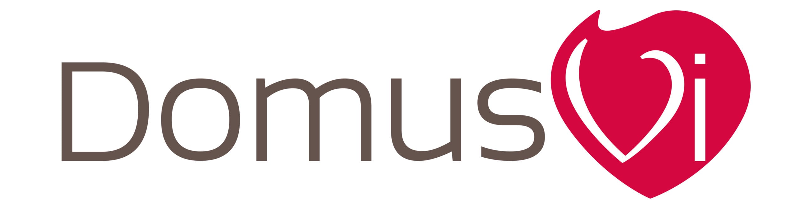 Logo DOMUSVI