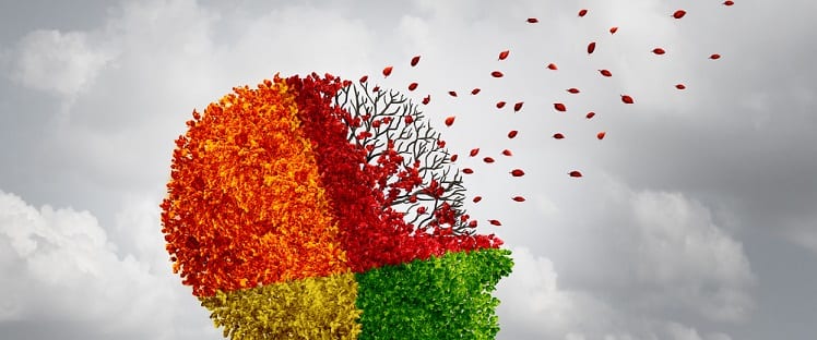 Alzheimer - Démence - Perte de mémoire - Souvenirs