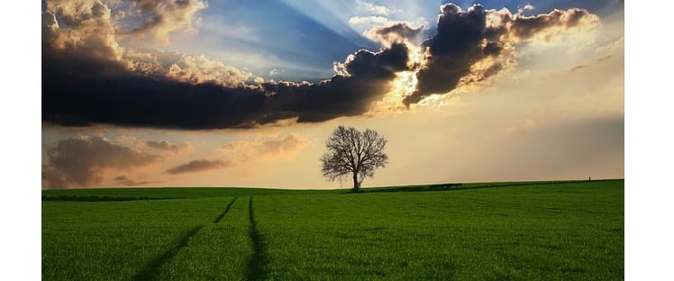 Bourg - Campagne - Ruralité