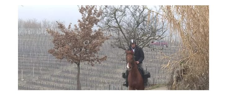 Italie - Equitation - cheval