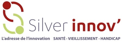 silver innov logo 