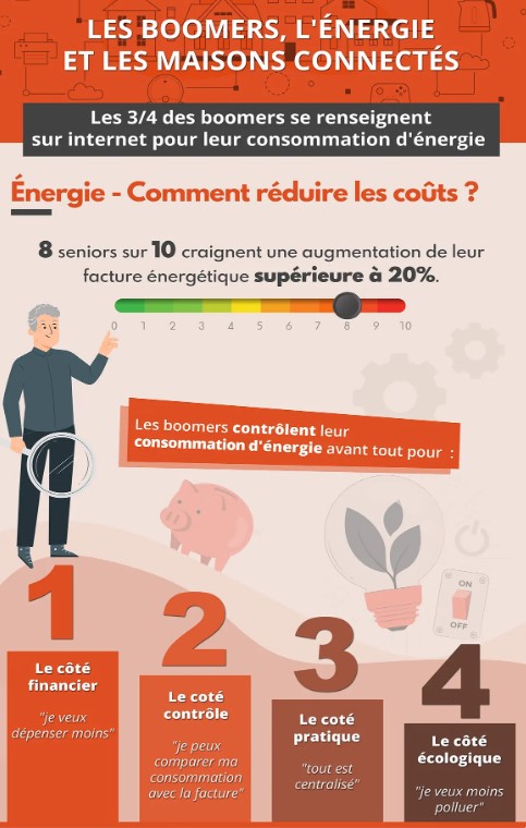 Infographie de l'étude Digital Baby Boomer et la consommation sur Internet