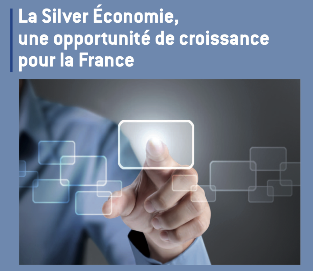 proposition de la filière silver économie en 2013