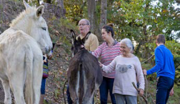 village landais alzheimer cheveux balade