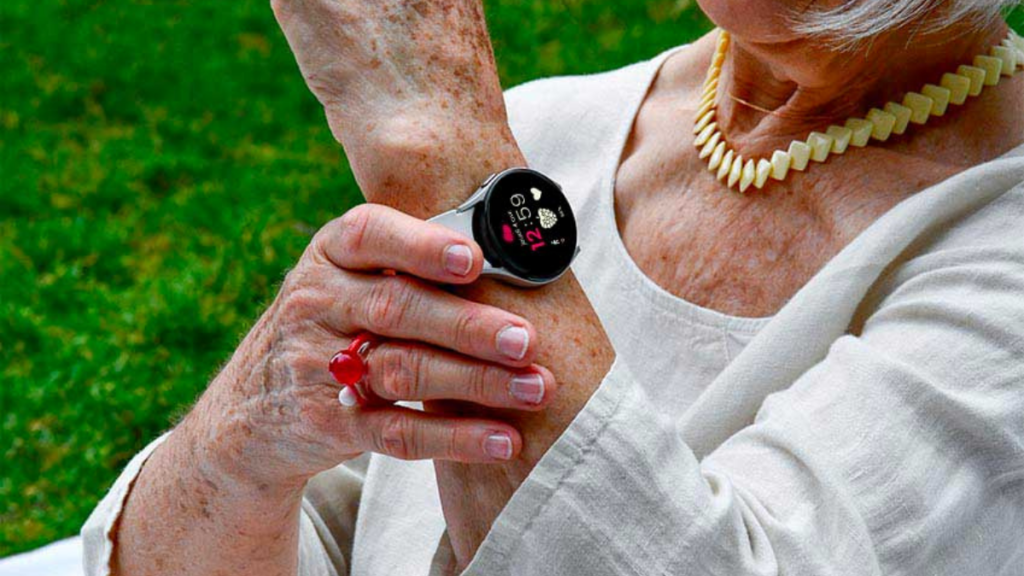 framboise watch assystel