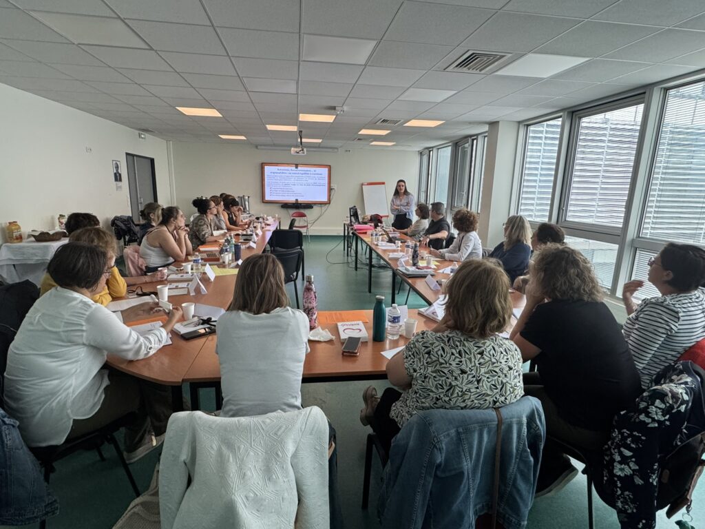 formations directeurs d'ehpad 