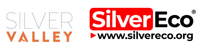 logo silver eco x silver valley