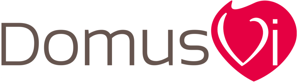 logo domus vi