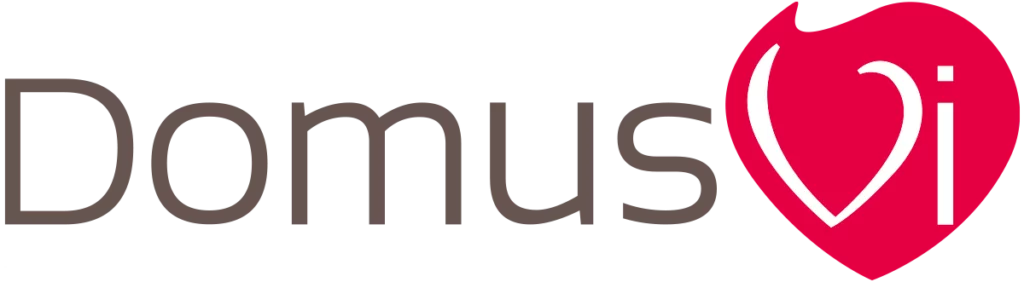logo domus vi