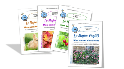 major cogito carnet d'activités seniors