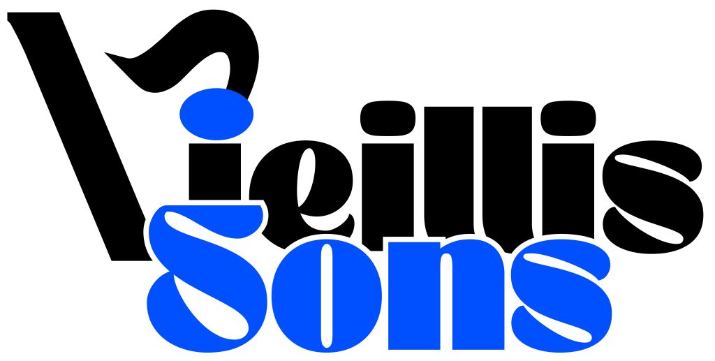 association vieillissons  EHPADONS-NOUS